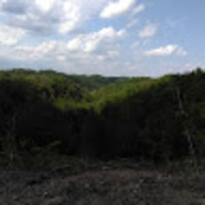 Meet your Posher, Ricky